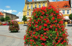 Gniezno