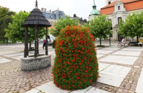 wieże kwiatowe Terra Pszczyna (2)