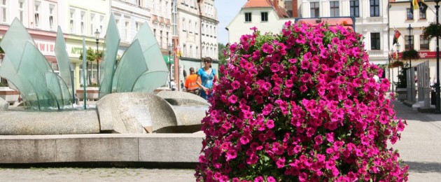 Pielęgnacja roślin w wieżach kwiatowych