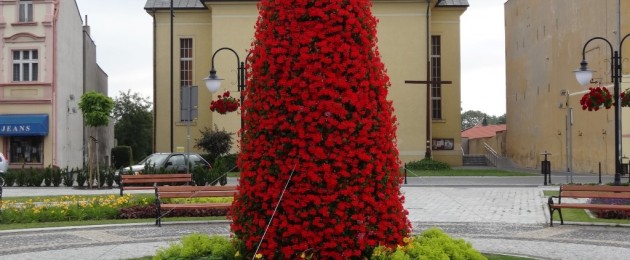 Kruszwica in flowers!