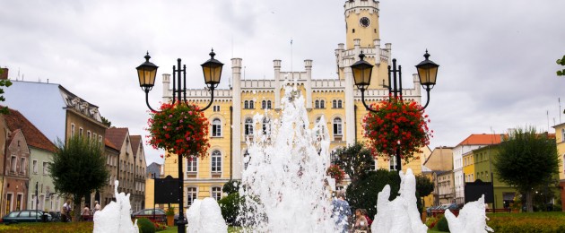 How to plant the surroundings of the fountain?