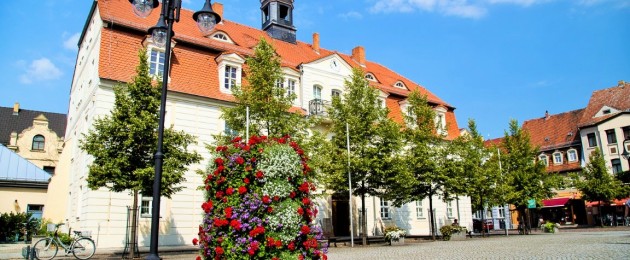 Jak kwiatek do kożucha? O celowych ‘kontrowersjach’ w zieleni miejskiej