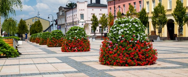 Sommerbepflanzung in Ihrer Stadt: Das sollten Sie beachten!