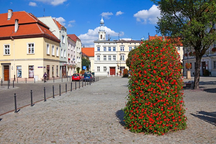 Oleśnica