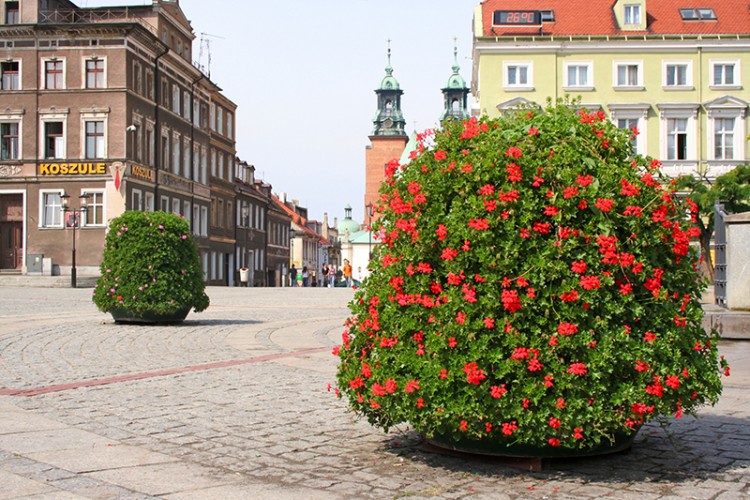 Gniezno