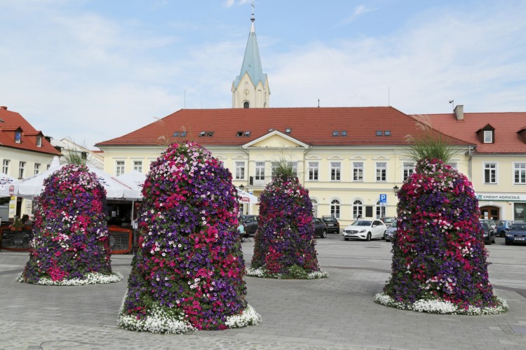 wieże kwiatowe terra Oświęcim (2) (Large)